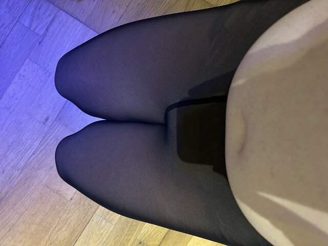 Transpaulinka37