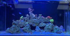 IMG_2139.jpeg