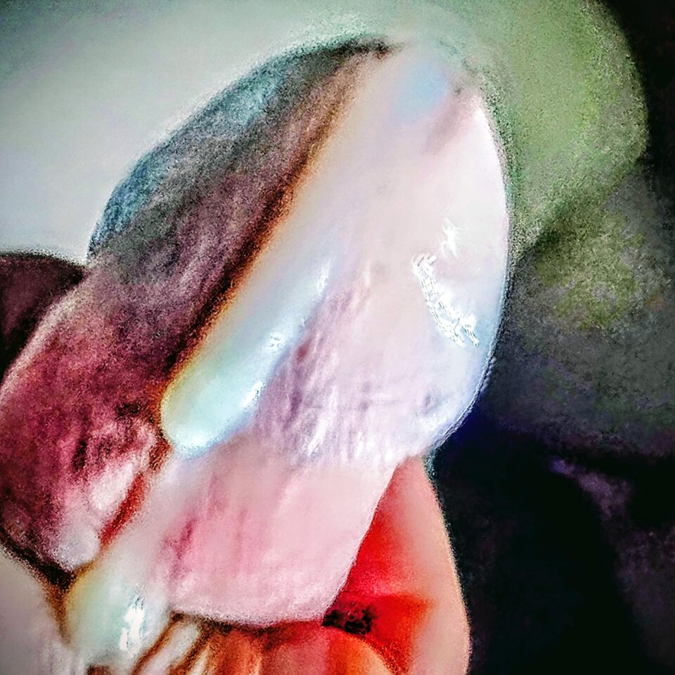 2584.jpg - PorobieniOral69