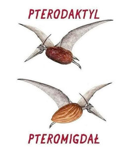 Prehistoria .jpg