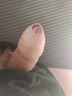 7322.jpg