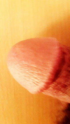45_01.jpg