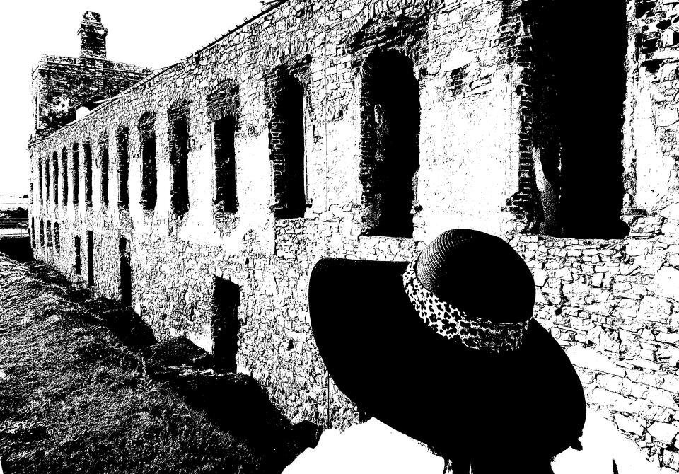 The White Lady of Krzyżtopór Castle.jpg - Sapiosexual_no_taboo