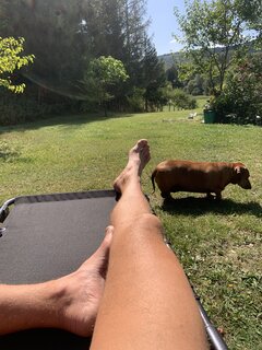 IMG_3884.jpeg