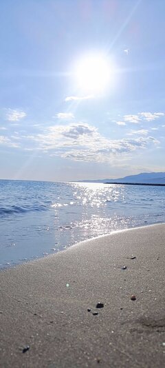 IMG_0377.jpeg
