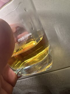 IMG_4867.jpeg