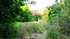IMG_20220715_181956.jpg