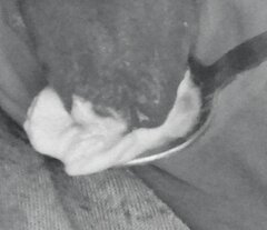 1000019965.jpg