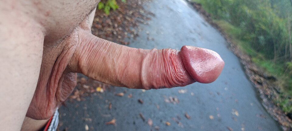 1000020842.jpg - Konik6