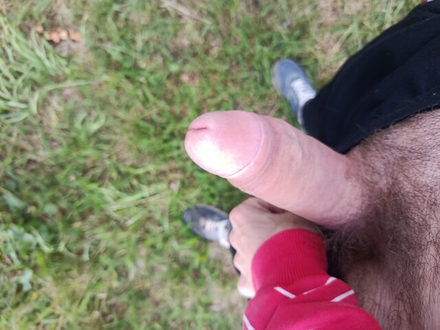 pldarek
