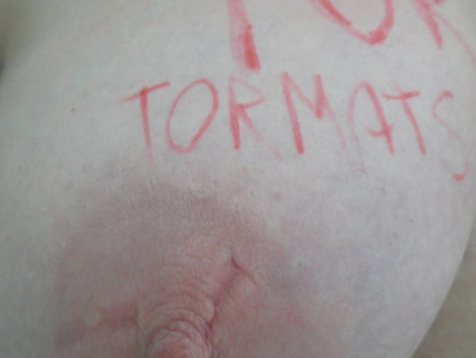1000015911.jpg - tormats