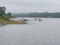 20260915_104232.jpg