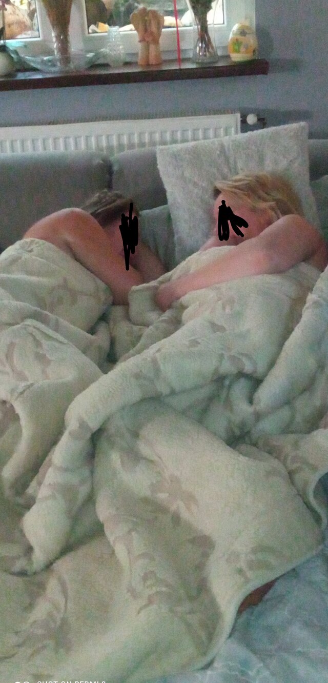Swingersii