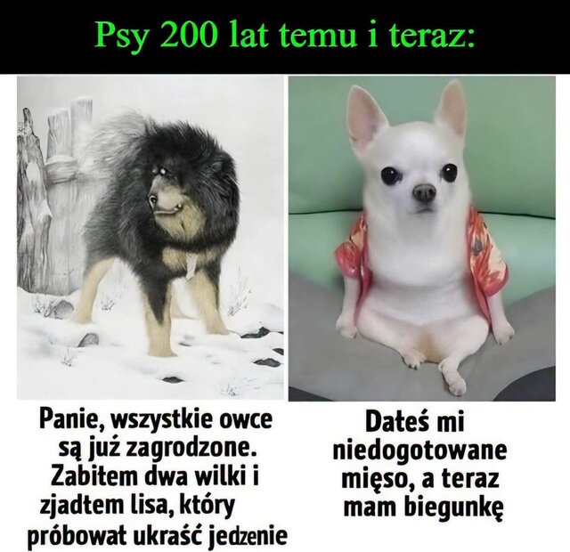 Nierealna_84