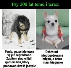 FB_IMG_1789545844109.jpg