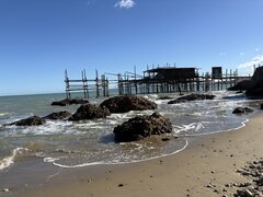IMG_2163.jpeg