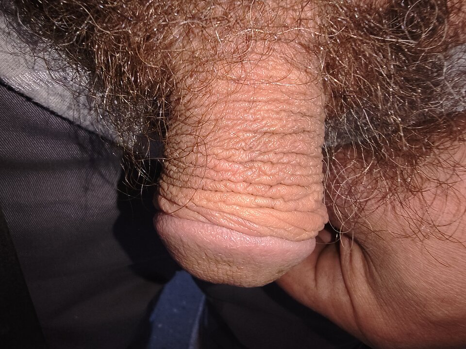 1000002258.jpg - Jack21212121