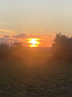 IMG_1379.jpeg