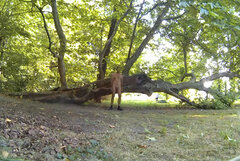 NAKŁO - w parku 20260909_0929.mp4_snapshot_00.39_[2026.09.09_17