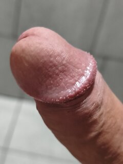 5230.jpg