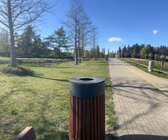 IMG_2900.jpeg