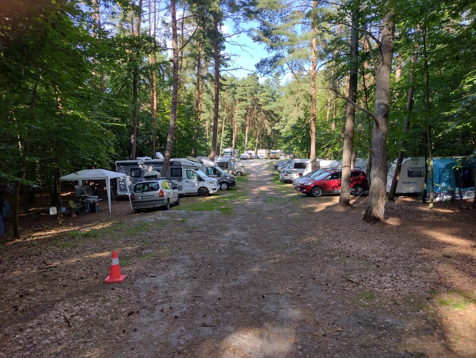 IMG_20260812_164243964_HDR.jpg - Ponury48bis