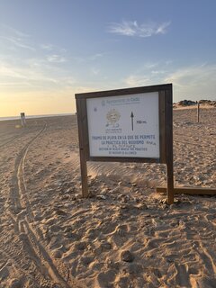 IMG_7443.jpeg