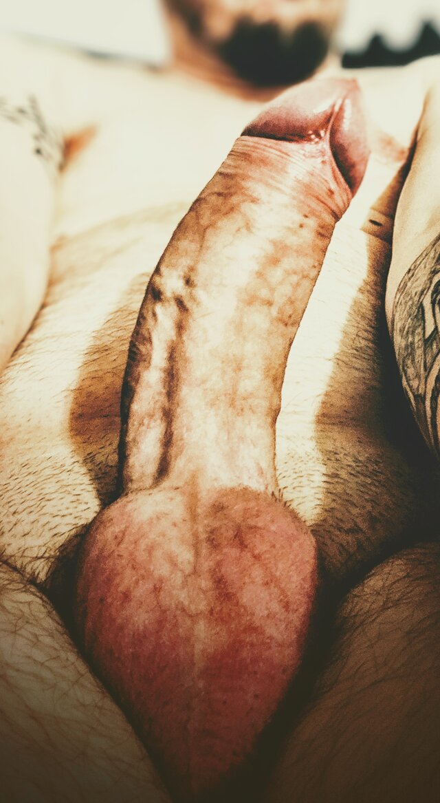 SwingerSolo