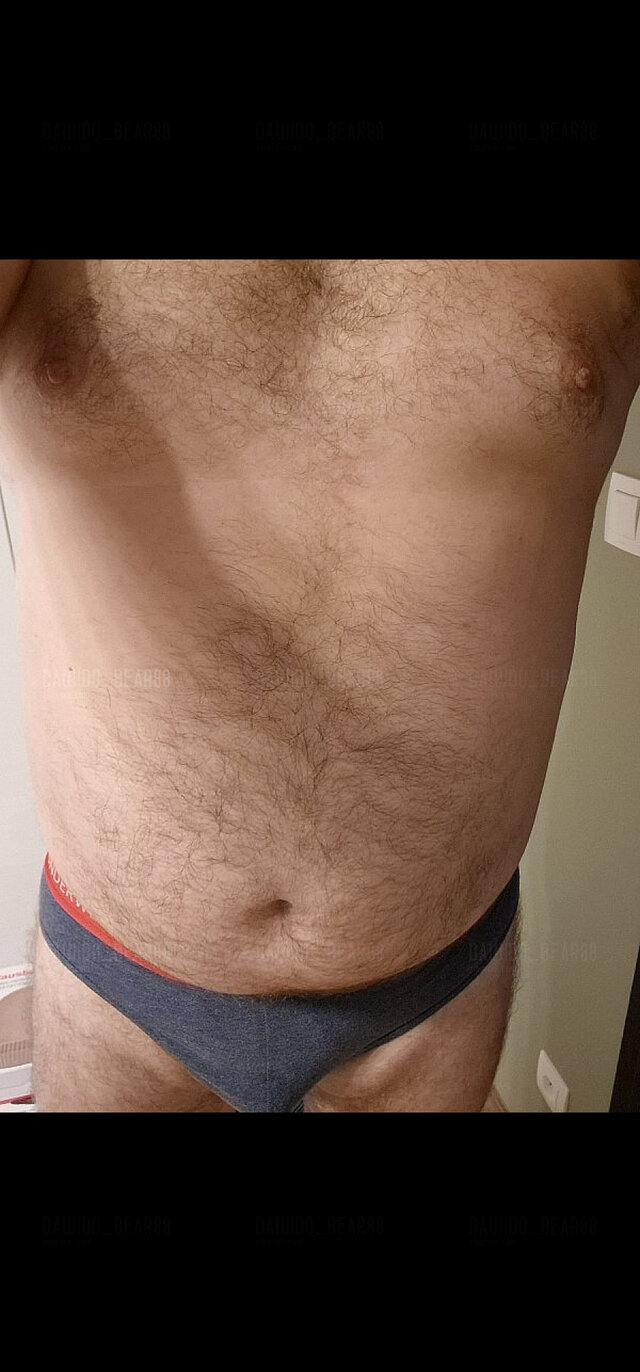 Dawido_Bear88