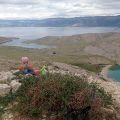 IMG_20260918_111637.jpg