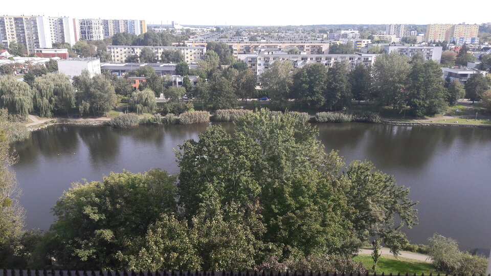 20250927_135328.jpg - Dawo36