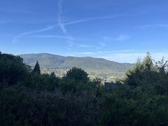 IMG_0108.jpeg