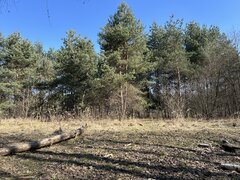 IMG_1640.jpeg