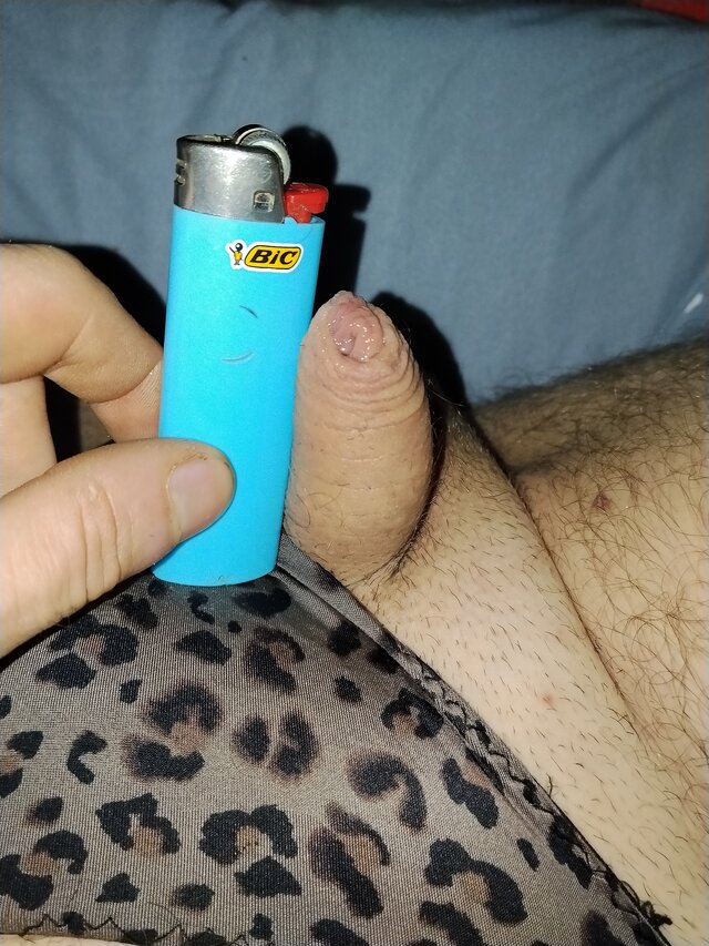 SuniaWKlatce