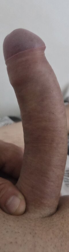 6581.jpg