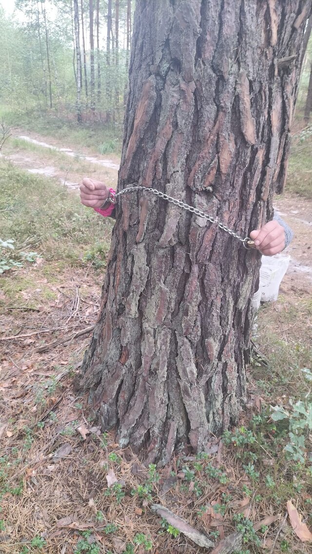 alisijya
