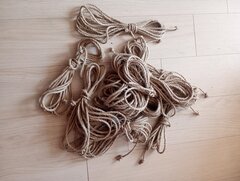IMG_20260903_100750.jpg