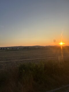 IMG_4231.jpeg