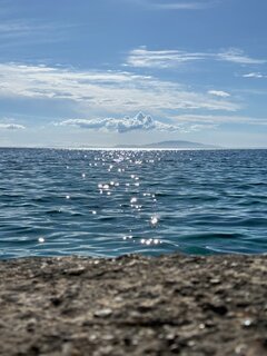 IMG_1955.jpeg