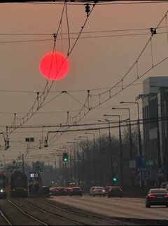 1000025751.jpg