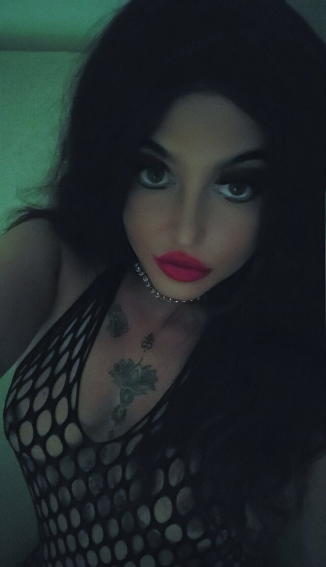 NiewyzytaKocica84