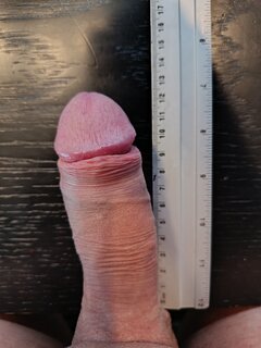 8451.jpg