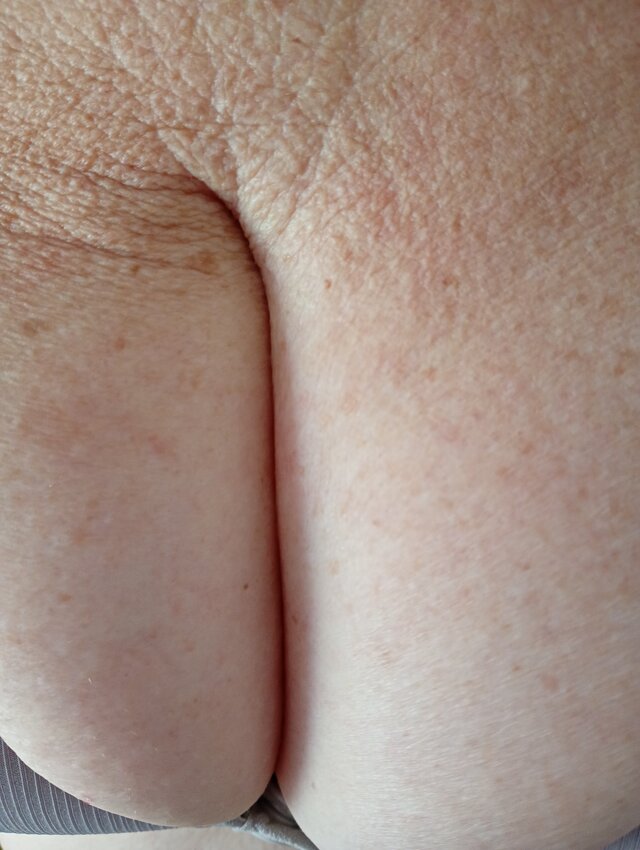 olla55