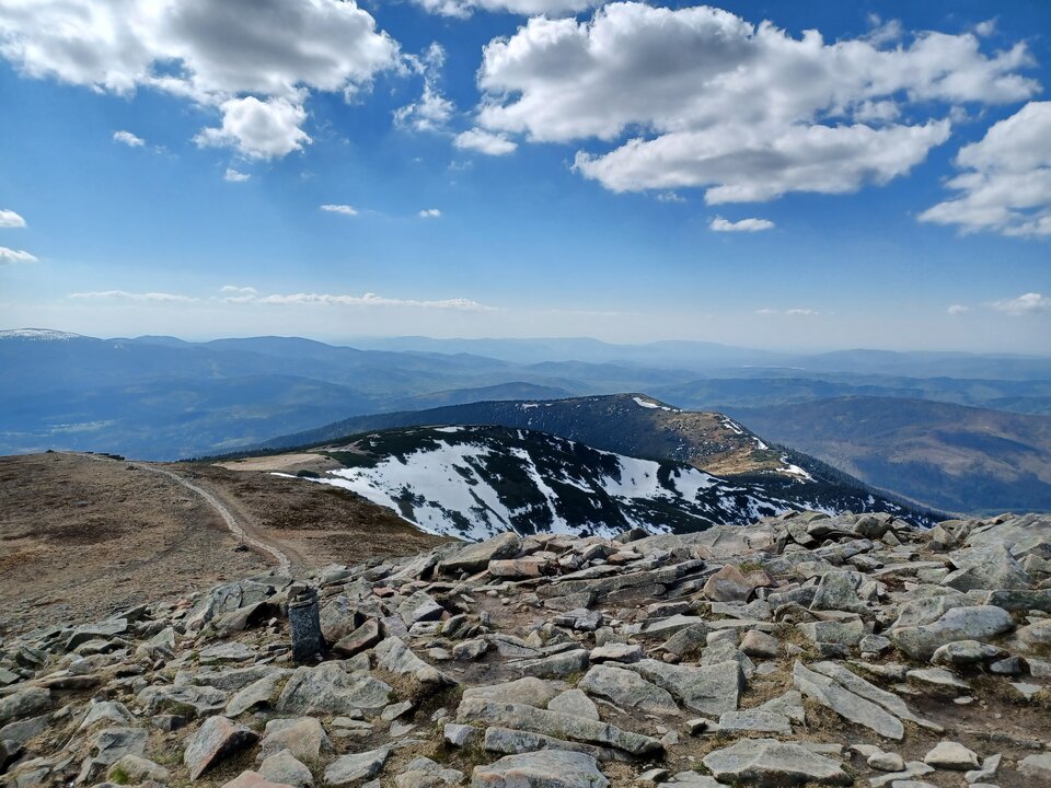 20220510_152144.jpg - Kotek1a