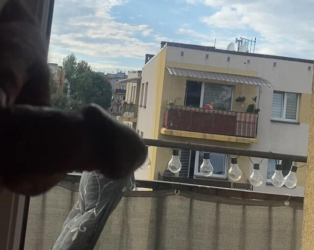 Krzysztof_cfnm
