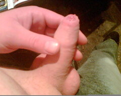1000065440.jpg