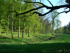 DSCN36792009-04-26-16-33-08.JPG