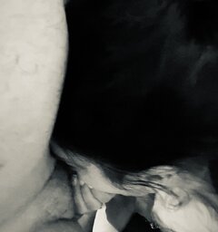 IMG_2157.jpeg