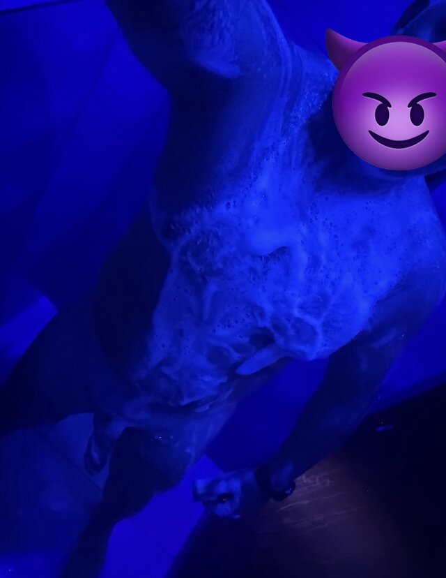 Fantazjni23