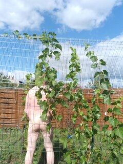 IMG_20260906_121942.jpg